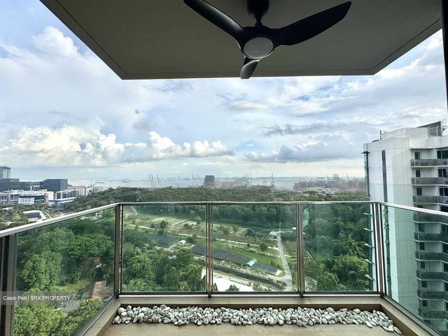 Normanton Park (D5), Apartment #479377691